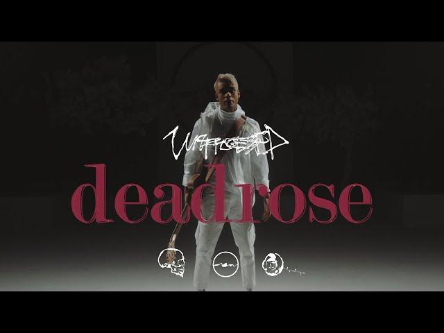 Unprocessed - deadrose (Official Music Video)