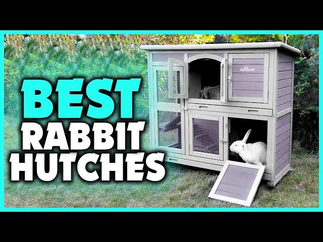 5 Best Rabbit Hutches in 2022