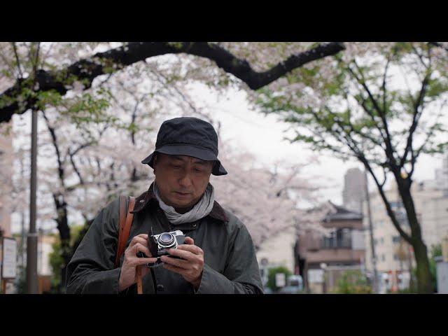 SAKURA ON FILM / Part III - Photography on Black and White Film