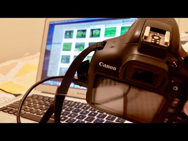 How to Transfer Pictures From Canon Camera to Mac