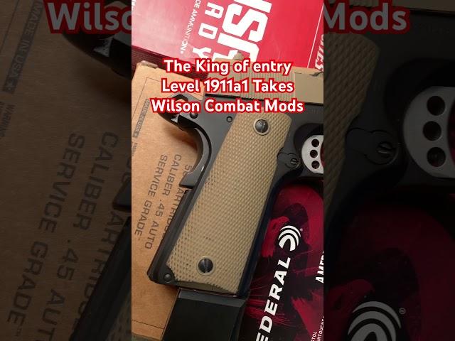 The King of entry Level 1911a1 Takes Wilson Combat Mods #1911 #45acp #45auto #tisas #hunting