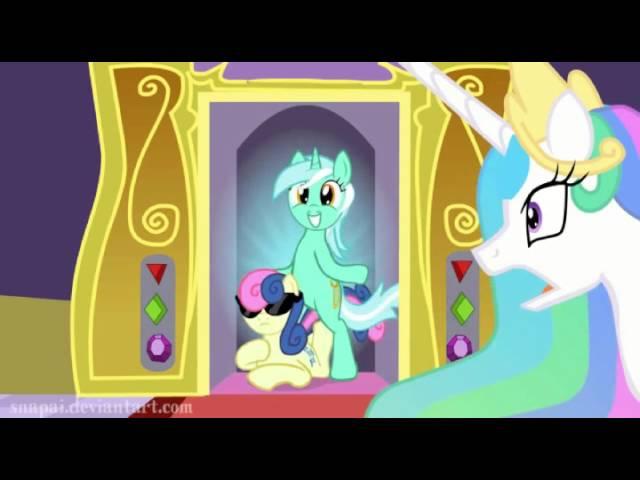 WTF MLP