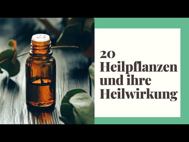 20 Heilpflanzen und ihre Heilwirkung