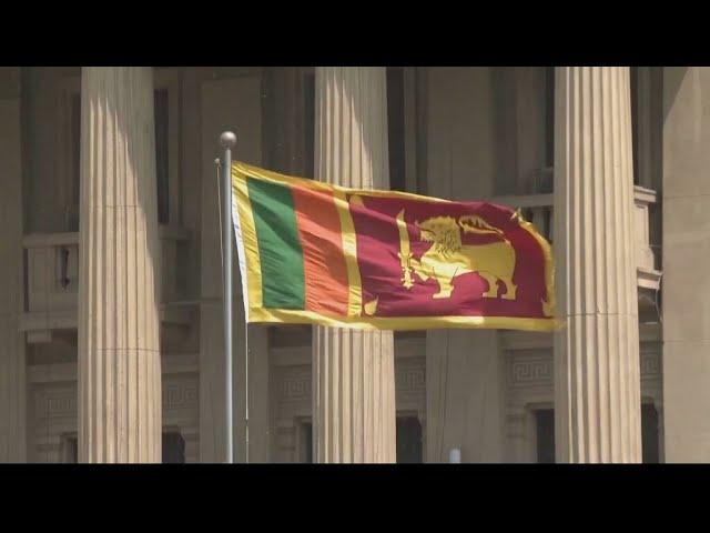 Sri Lanka's cabinet, central bank chief resign over spiralling economic crisis • FRANCE 24 English