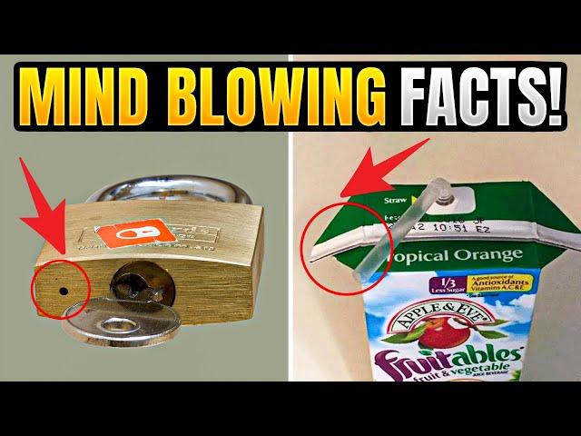 Amazing Secrets Hidden in Everyday Things