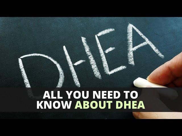 All You Need To Know About DHEA