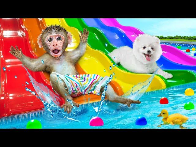 KiKi Monkey built a Waterpark with Swimming Pool & Colorful Waterslide with puppy | KUDO ANIMAL KIKI