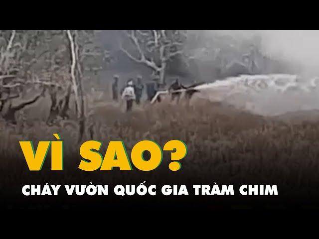 Cháy Vườn quốc gia Tràm Chim: Do có người xâm nhập, dùng lửa bất cẩn