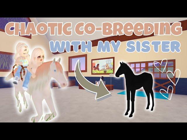 Chaotic Co-Breeding With My Sister… AGAIN | Wild Horse Islands