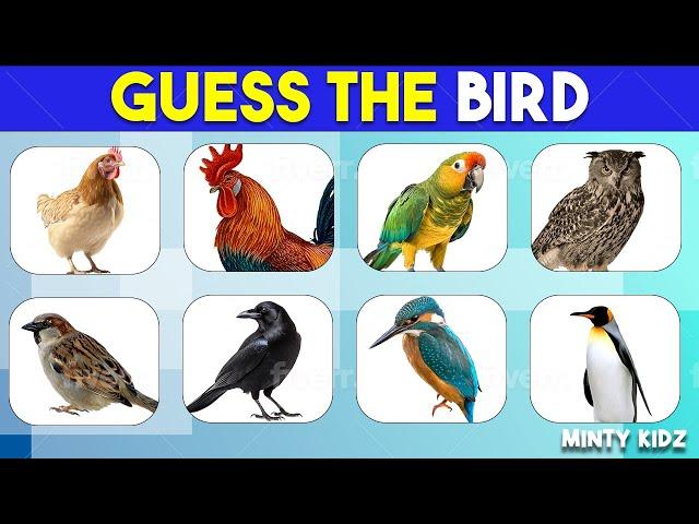 Guess the bird | Easy, Medium, Hard. Give it a shot!