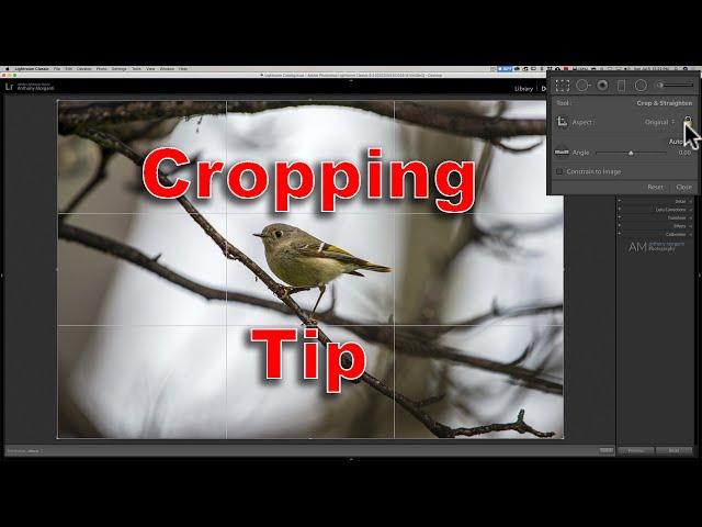 1-Minute Lightroom CROP TIP