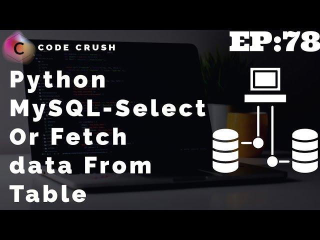 Python Database Connectivity MySQL | Selecting And Getting Data | What Is Select Query