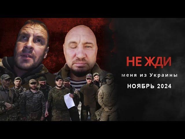 НЕ ЖДИ новости: НОЯБРЬ 2024 (выпуск 7)