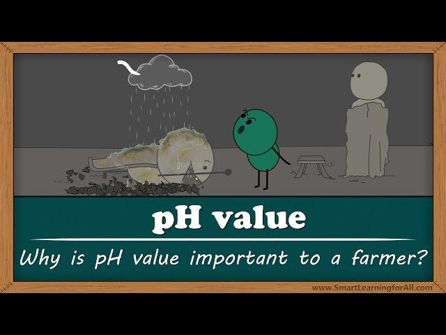 Why is soil pH important to farmers? | #aumsum #kids #science #education #children