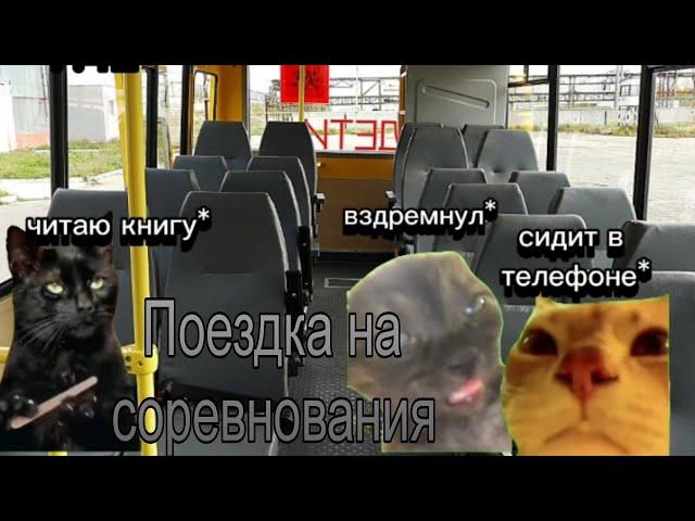 Моя поездка на соревнования| Мемные коты( кошачья жизнь)