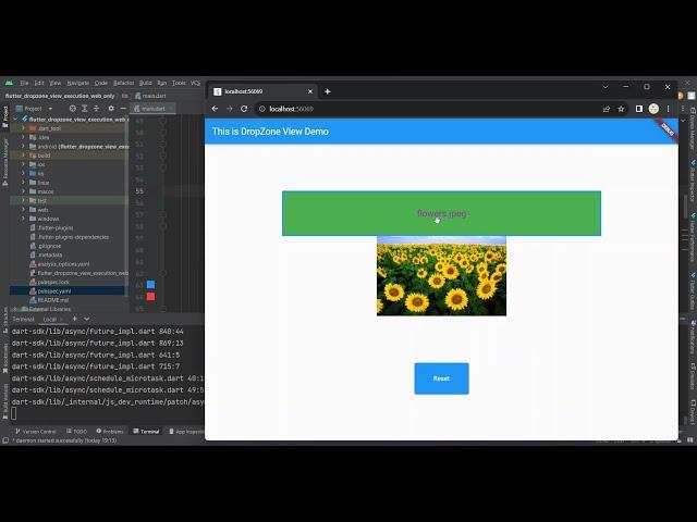 How to use Flutter DropZone package in flutter | Flutter DropZone #flutter #flutterdev #flutterflow