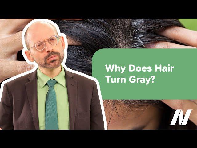 Why Does Hair Turn Gray?