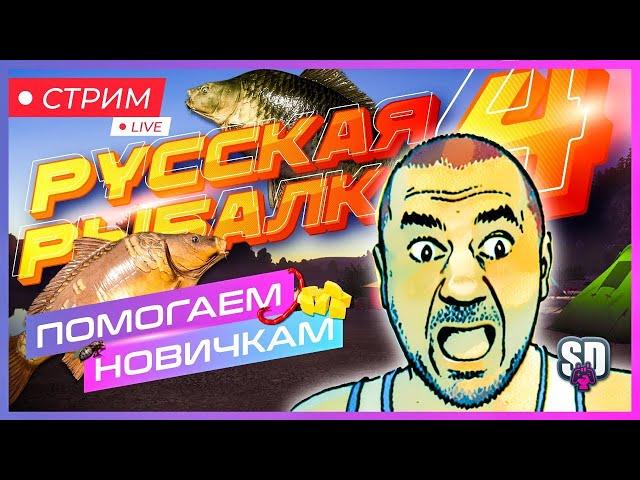 Русская Рыбалка 4 *Это Ррка? Ага! И что мы будем делать? Будем что нить розыграть :):)*