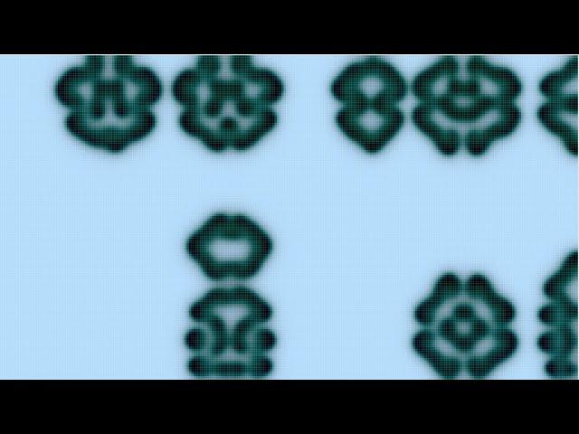 Thru the Window : An animation with Turing Pattern.