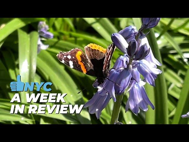 Week in Review | April 28 - May 4