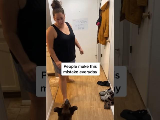 People make this mistake EVERYDAY with their dog 