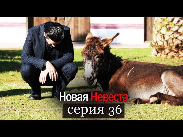 Новая Невеста | серия 36 (русские субтитры) Yeni Gelin