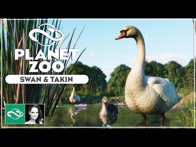 ▶ Mute Swan & Takin | Planet Zoo Eurasia Animal Pack DLC Screenshots