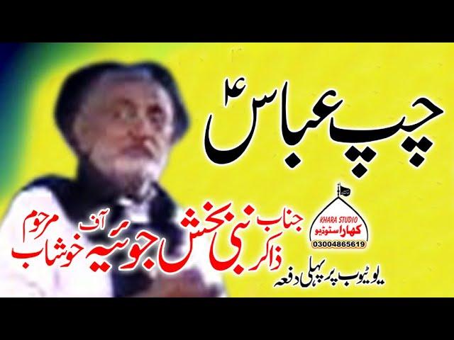 Zakir Nabi Bakhash Joyah /Topic Chop Abbas a.s / Yadgar Majlis.