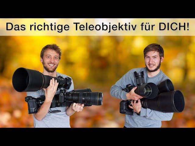 Nikon Z Teleobjektive im Überblick - Erfahrungen und Kaufberatung für die Tierfotografie