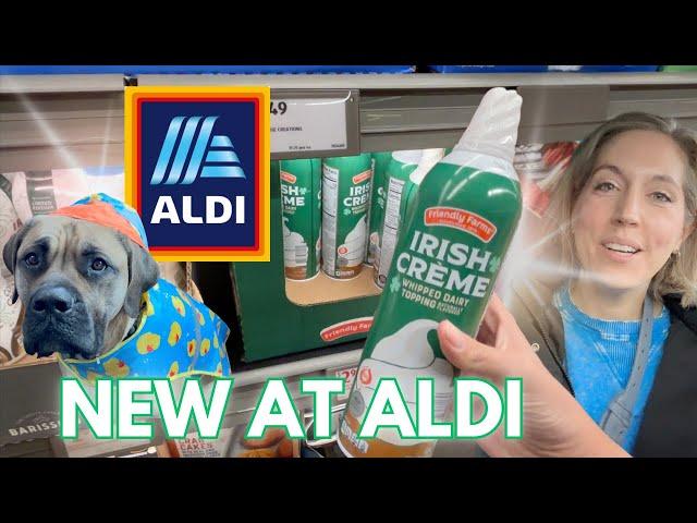 ALDI’s Newest Items Are Here! Don’t Miss These Finds!