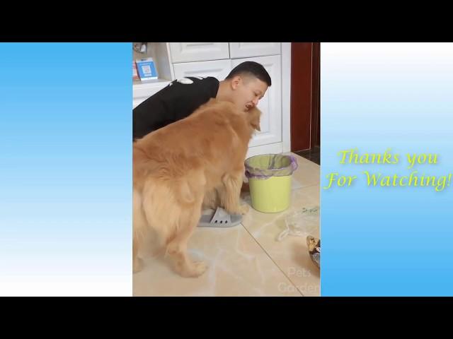 Cute Pets And Funny Animals Compilation 1