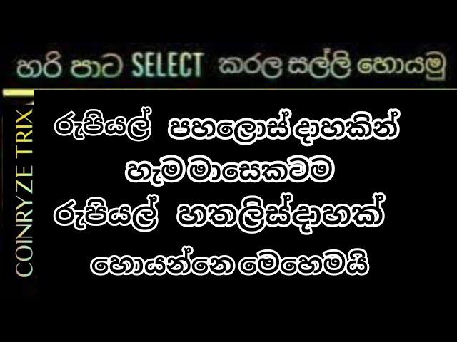 ගෙදර ඉදන්සල්ලි හොයන ක්‍රම | හැම මාසෙම රුපියල් 40000 ක් හොයන්න ඔයාටත් පුළුවන් | අදම පටන් ගන්න