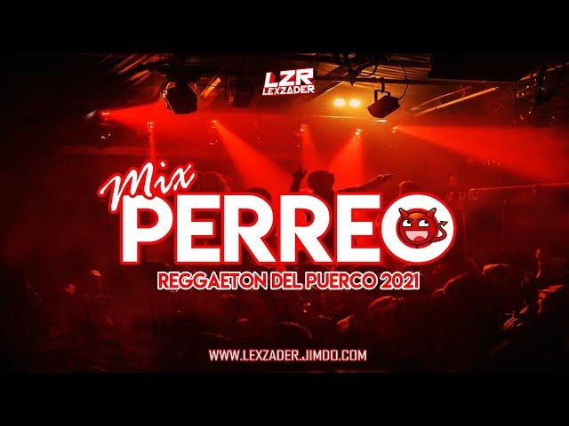 MIX PERREO 2021- (REGGAETON DEL PUERCO/VIEJA ESCUELA) - |Felina, Agárrala, Tocarte Toa,Gata Celosa