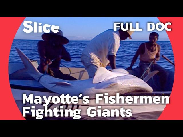 Fundi Shark Masters: The Legendary Shark Fishermen of Mayotte | SLICE | FULL DOCUMENTARY