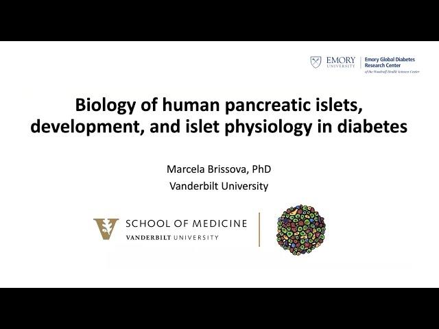 Seminar | Biology of Human Pancreatic Islets, Development, and Islet Physiology in Diabetes