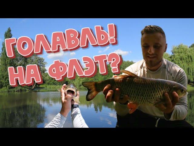 Голавль на флэт фидер | Рыбалка на реке