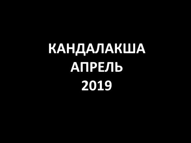 Евангелизация в КАНДАЛАКШУ I Апрель 2019