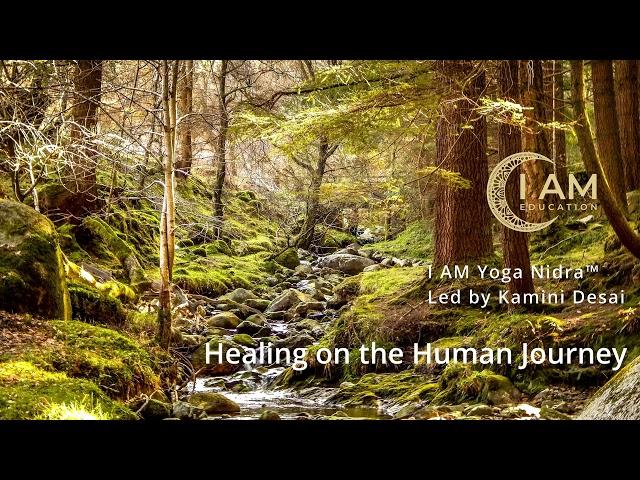 Healing on the Human Journey - Yoga Nidra / NSDR