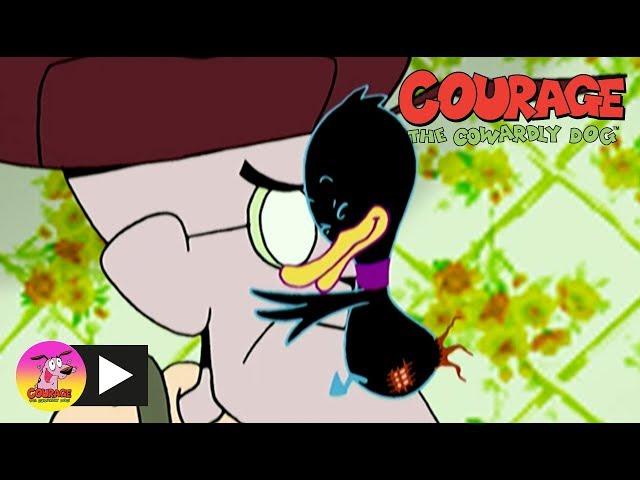 Courage The Cowardly Dog | Deadly Duckling | Cartoon Network