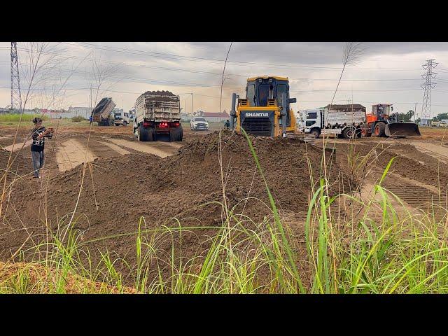 Bulldozer SHANTUI  And Wheel Loader SD300N Push Sand With DumpTruck 6Whell+10Wheel