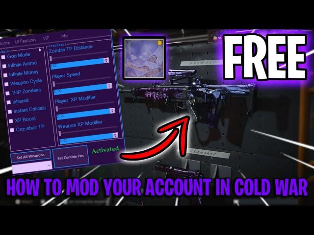 How to Mod your account on Cold War (2024) for FREE! Fast and Easy