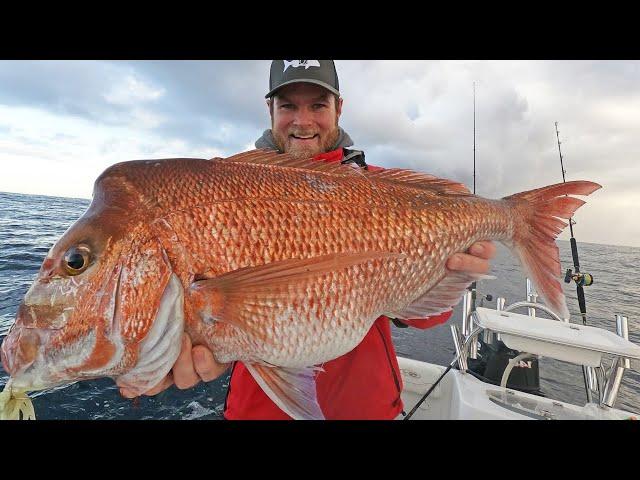 Slow Jigging Reef Fish (catch, clean, cook)