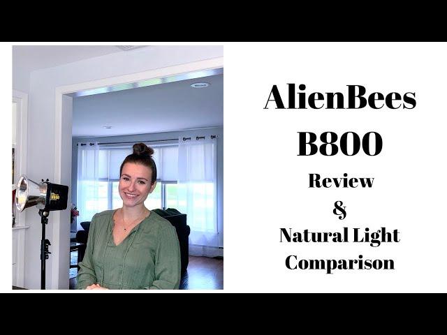 AlienBees B800 Review & Natural Light Comparison