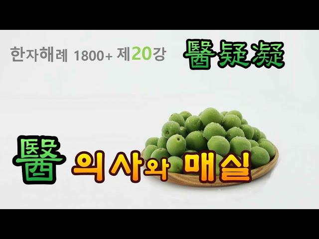 제20강 醫(의원 의) 매실