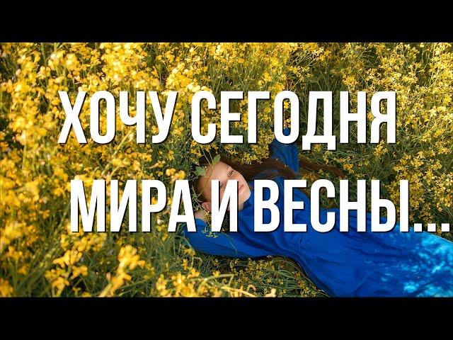 "Хочу сегодня мира и весны" Автор Алёна Гавенаускене-Колосовская