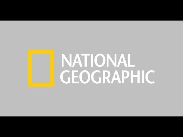 National Geographic Is it Real   The Nostradamus Effect