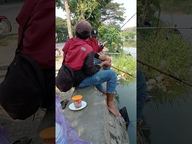 SPOT MANCING GRATIS DI SURABAYA BARAT - WADUK UNESA