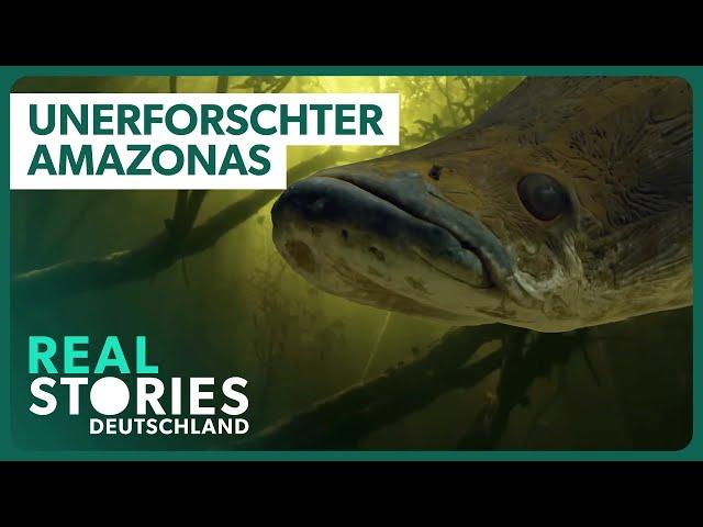 XXL-Doku: In den Tiefen des größten Regenwalds der Welt | Real Stories Deutschland