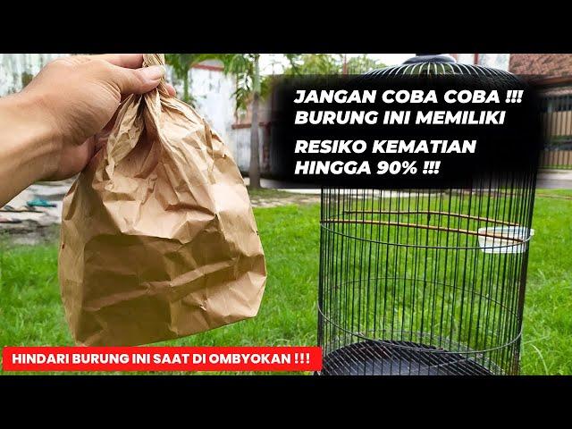 JANGAN COBA COBABURUNG SUPER BAGUS TAPI MEMILIKI RESIKO KEMATIAN HINGGA 90%