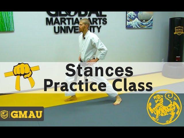 Shotokan Karate  - 8th Kyu Yellow Belt - Stances Practice Class